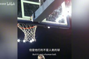 克莱为什么宁愿去热火，也不回勇士？答案可能比离开勇士更扎心
